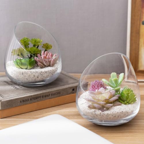 MyGift 5 Inch Premium Clear Glass Air Plant Terrarium, Tealight Candle Holder, Succulent Cactus