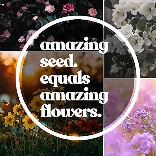 Midwestern Wildflower Seeds Bulk – 5 lb, 3 Million+ Seeds – Native Prairie Wildflower Mix for