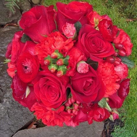 Ranunculus Bulbs - Red - 40 Bulbs - Red Flower Bulbs, Corm Attracts Bees, Attracts Pollinators