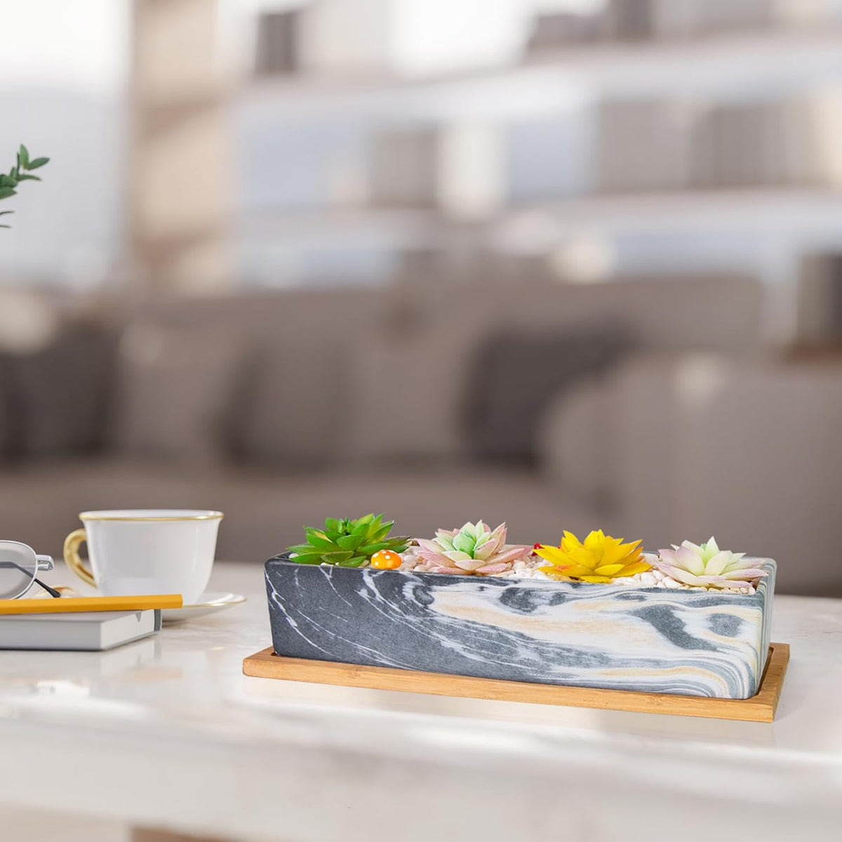 Succulent Pots - 12.1 Inch Large Succulent Pots with Drainage Tray, Window Sill Planter, Long
