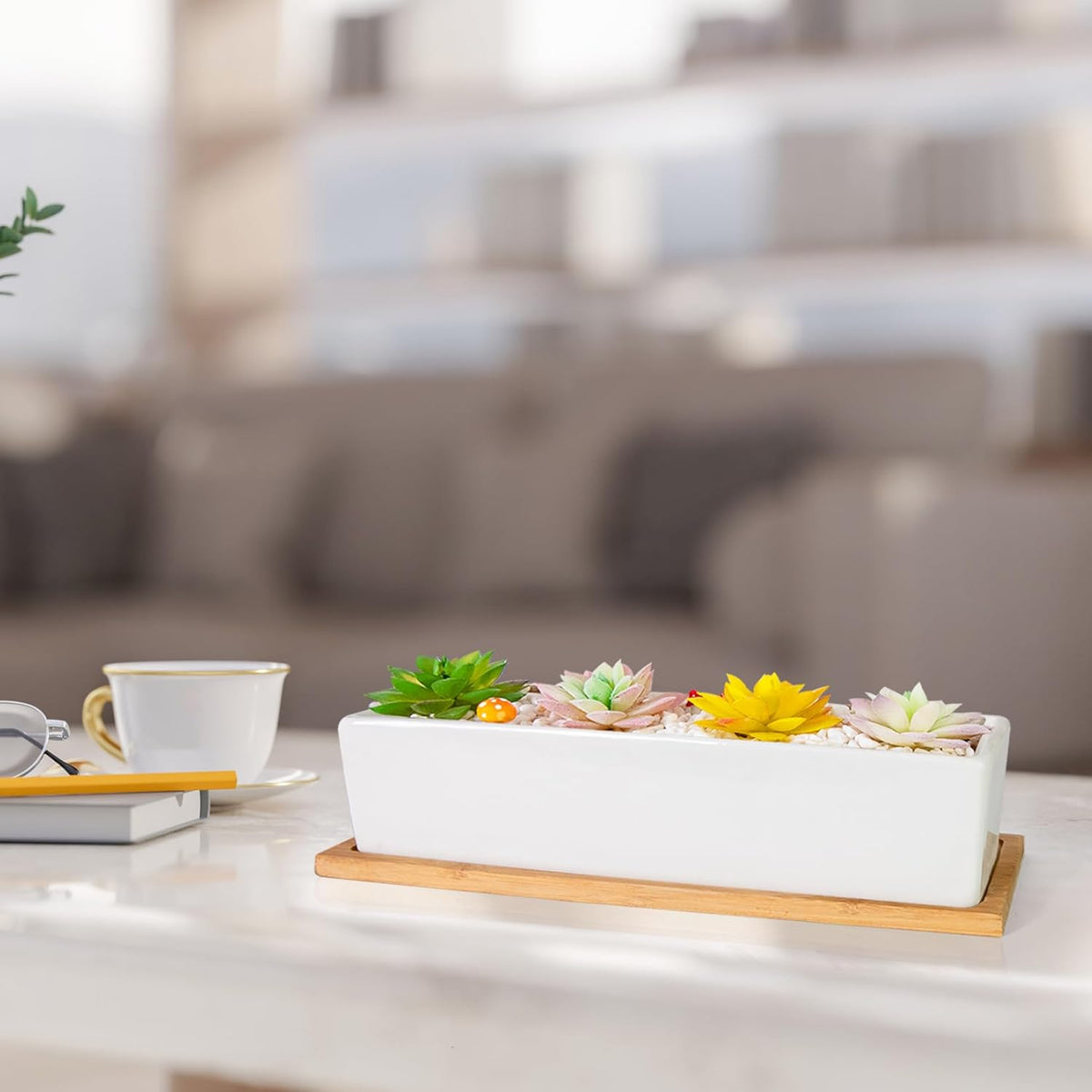Succulent Pots - 12.1 Inch Large Succulent Pots with Drainage Tray, Window Sill Planter, Long