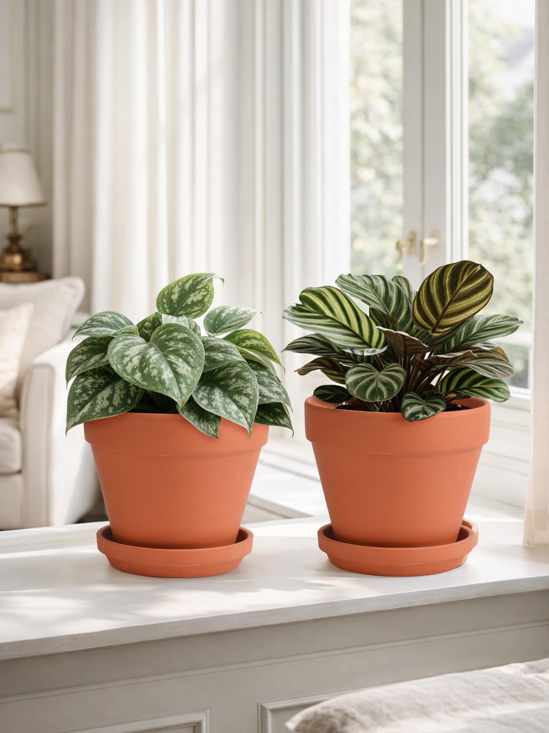 INGOFIN Terracotta Pots Set with Saucer - 2-Pack Ceramic Clay Planters with Drainage Hole, Garden