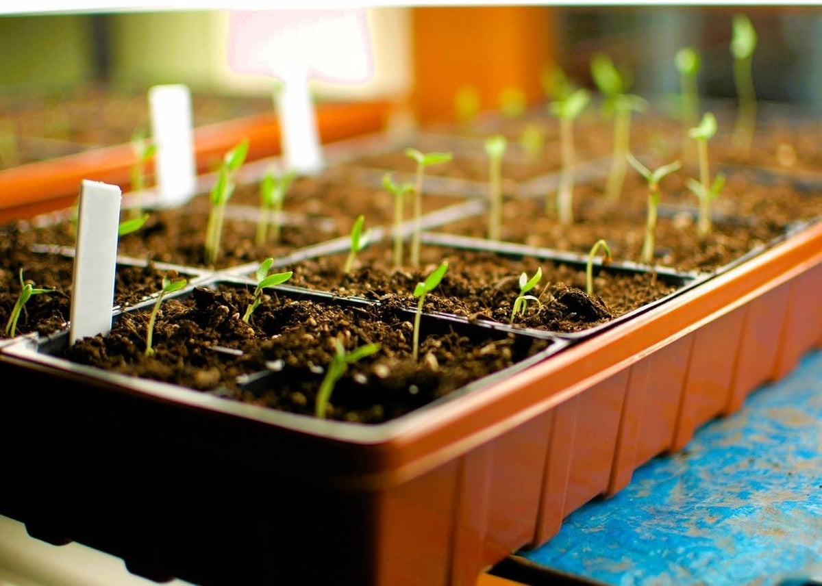 Propagation Mats Original from Manufacturer Size 11" x 48" in. for Reptiles and Seedling mats