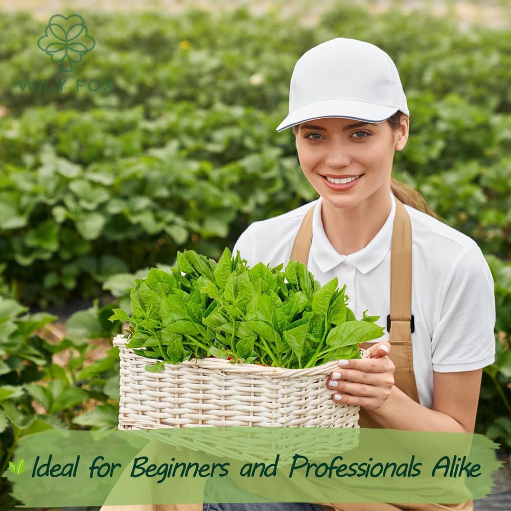 Premium Malabar Spinach Seeds - 100 Heirloom, Non-GMO Seeds for Planting – Easy-to-Grow Climbing