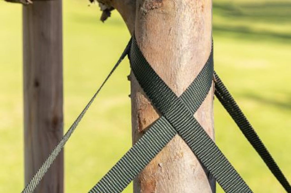 Tree Straps for Staking, Tree Ties for Plant Support, 3/4 Inch Width Guying Material Webbing Garden