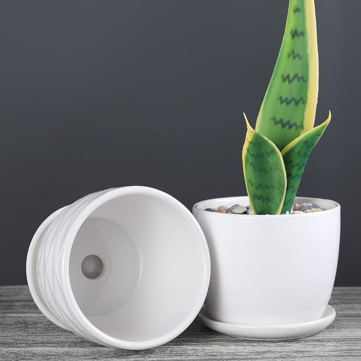 Plant Pots - 4.7 Inch Cylinder Ceramic Planters with Connected Saucer, Pots for Succuelnt and