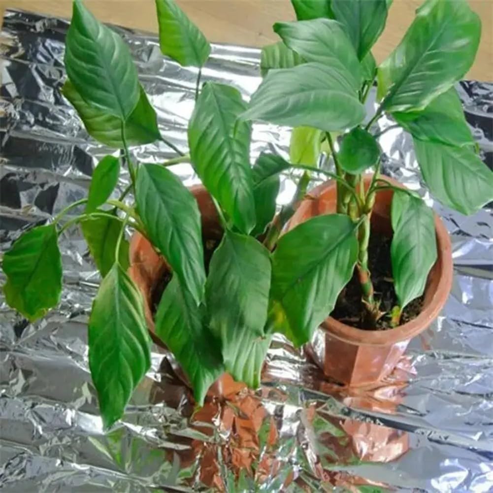Reflective Plant Growing Film Silver Mylar Sheet Indoor Greenhouse Light Reflecting Material Multi