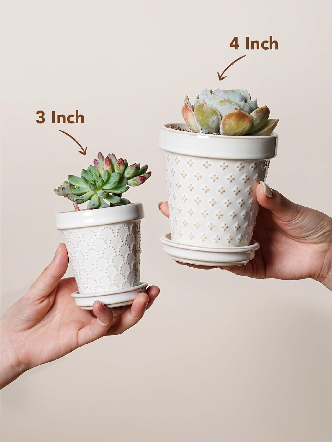 LE TAUCI Ceramic Succulent Pots, 4 Inch Small Plant Pot for Indoor Plant Cactus, Embossed Flower