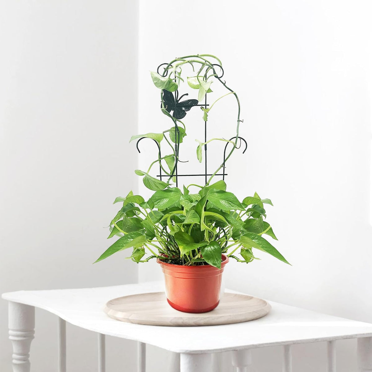 23 Inch Plant Trellis for Climbing Plants Indoor, Sturdy Metal Houseplant Trellis for Potted