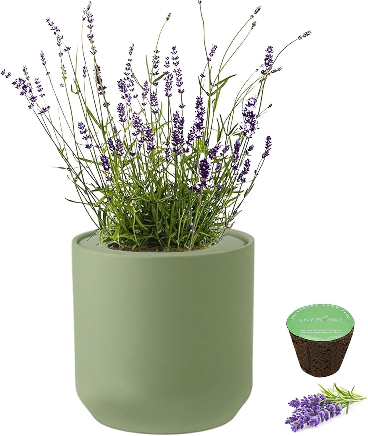 Hydroponic Herb Growing Kit, Self-Watering Kitchen Herb Garden Starter Kit with Green Ceramic Pot