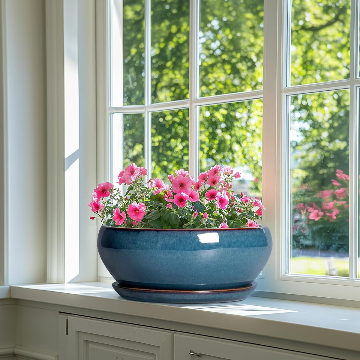 SQOWL Bonsai Tree Pots - 12 Inch Ceramic Succulent Pots, Large Shallow Planter with Drainage Hole