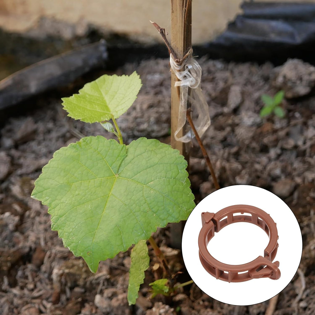 MECCANIXITY 300 Pcs Garden Plant Clips Fixing Clips Brown 30mm Adjusting Plant Lever Loop Clips for
