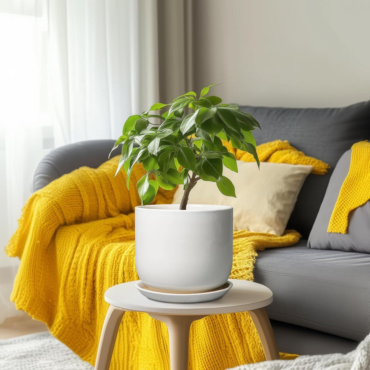 Ceramic Plant Pot - Modern 8 Inch Round Planter for Indoor Outdoor Plants with Drainage Hole and