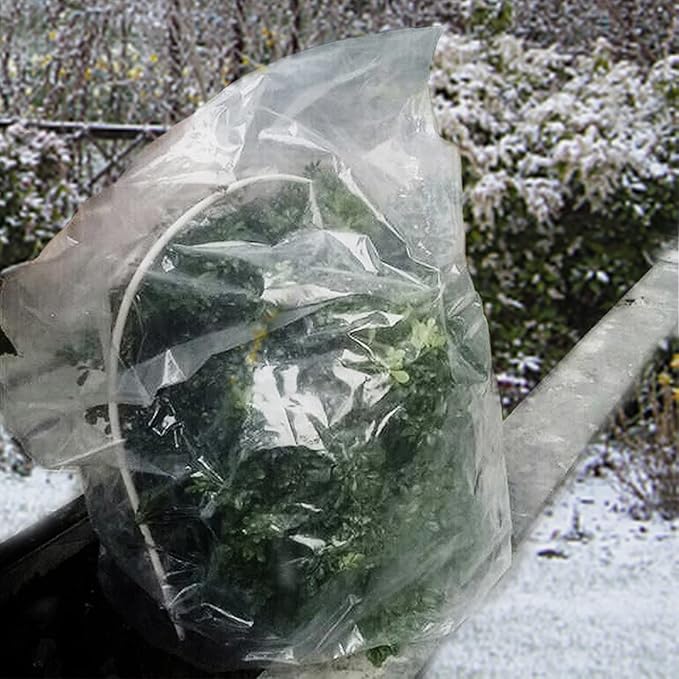 ANPHSIN 6 Pcs Winter Plant Film Cover with Drawstring - 35" x 59" Plastic Plant Cover Freeze