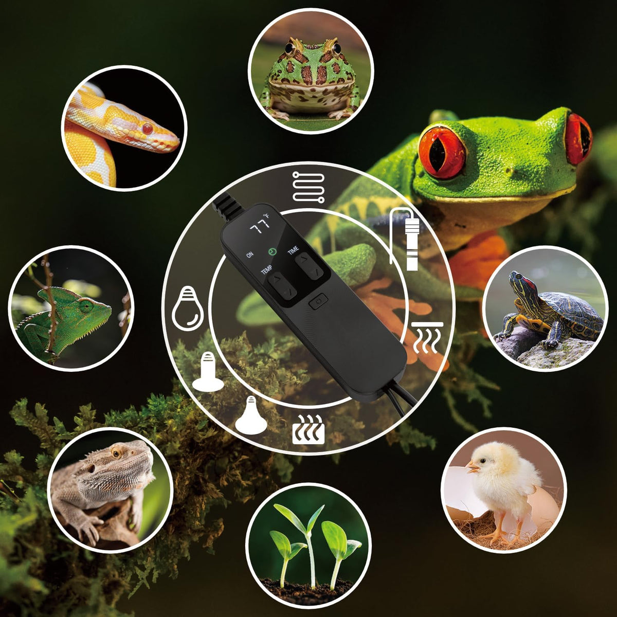 PID Dimming Thermostat Reptile with 24 Hours Cycle Timer for Reptiles Heat Lamp Heating Pad