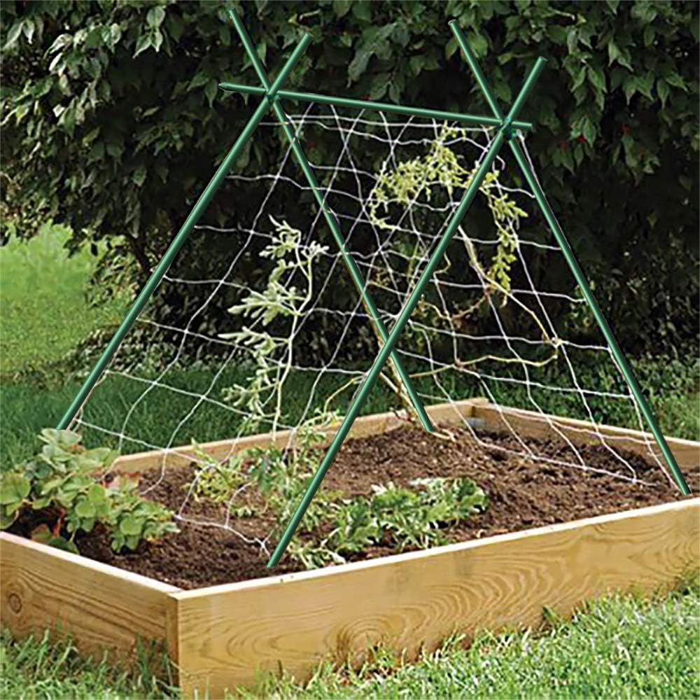 6 Feet Garden Stakes 20packs, Dia 1/4'' Plant Stakes 72'' Long, Never Rust/Rot, Better Than Wood
