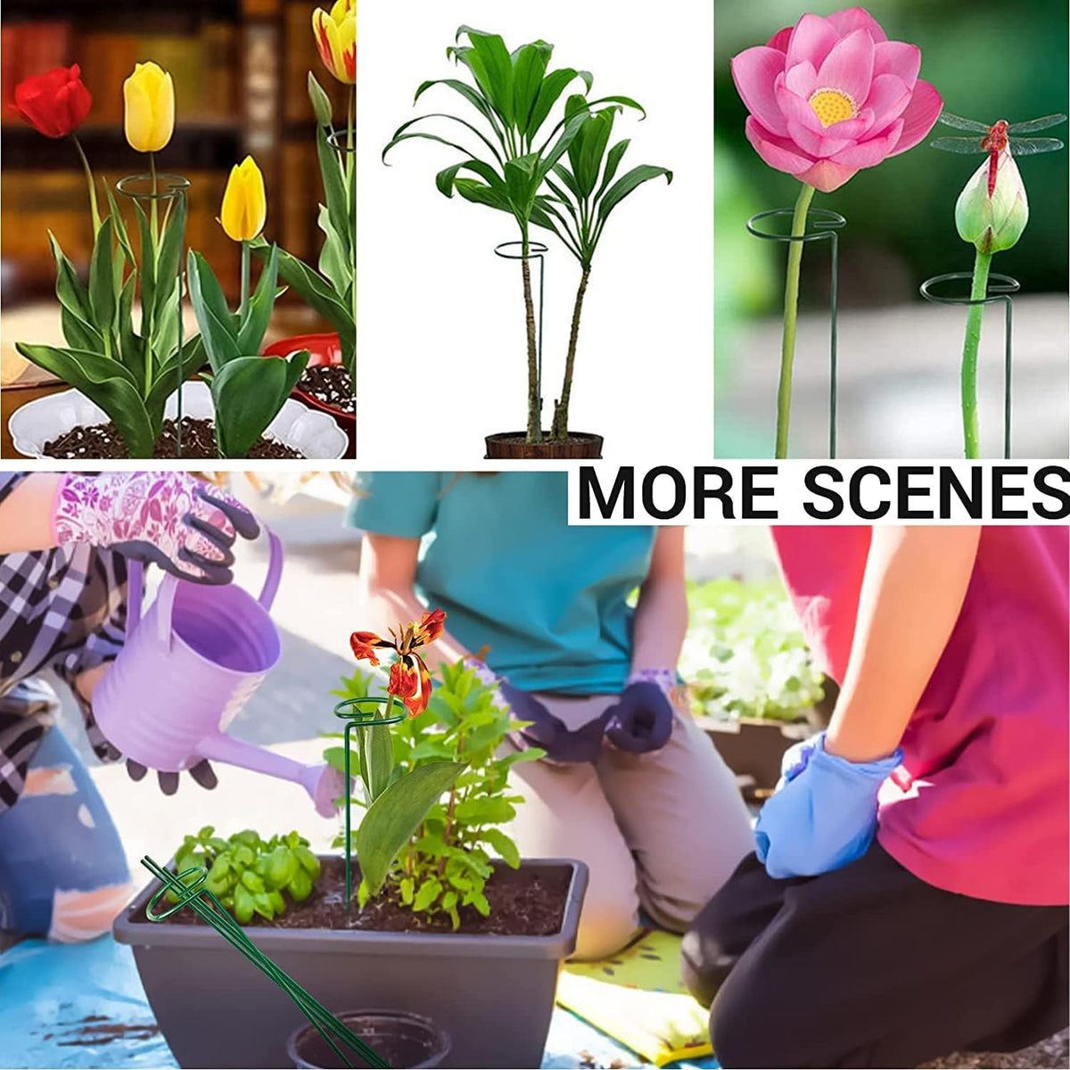 10 pcs 16 inch Metal Single Stem Flower Plant Support Stakes and Rings for Amaryllis Orchid Lily