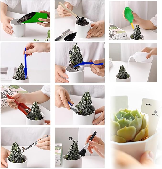 GXXMEI 20PCS/Set Succulent Tools Set, Mini Garden Tool Set, Transplanting Tools Set, Succulent Care