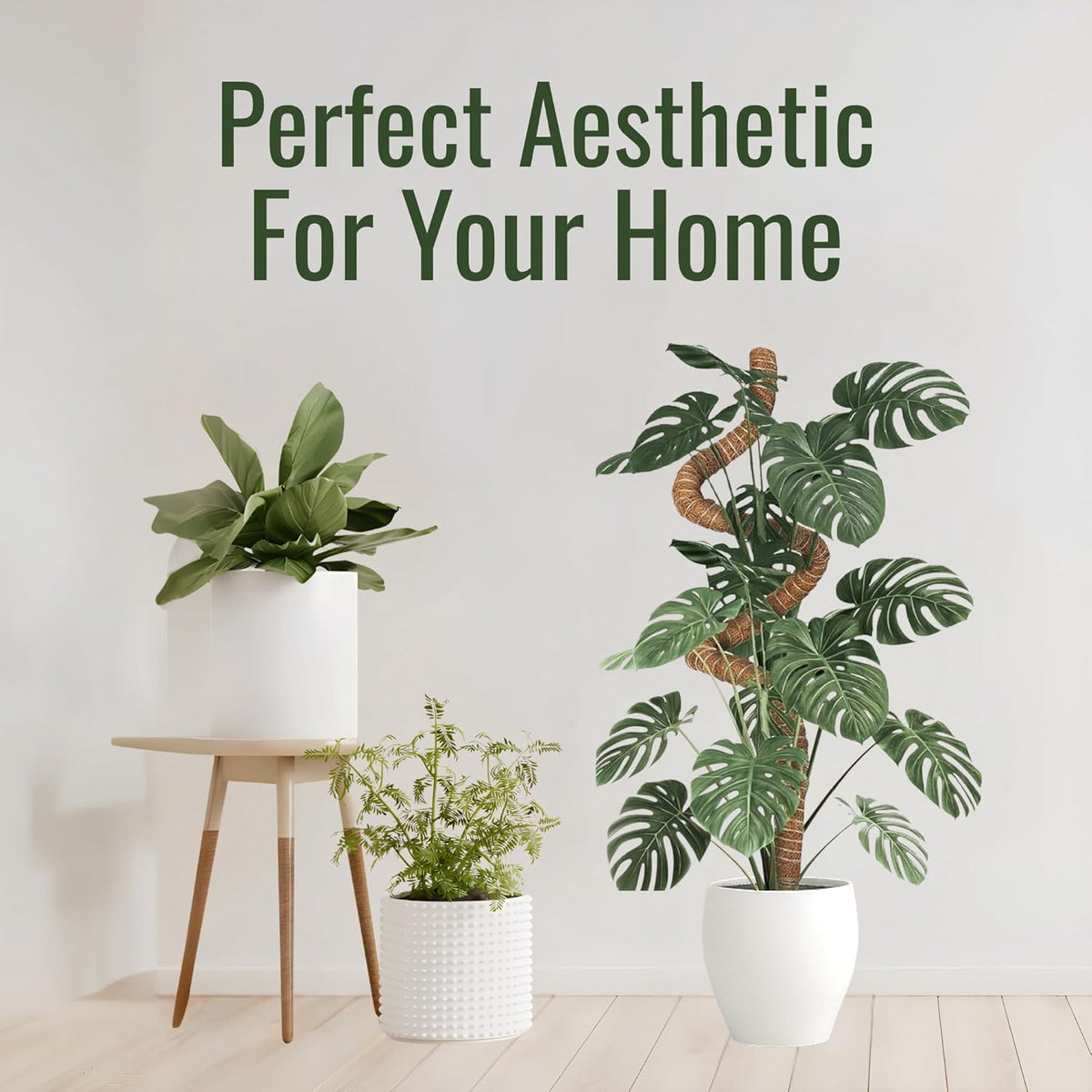 2 Pack 48 Inch Moss Pole for Plants Monstera, Tall Moss Poles for Climbing Plants Monstera
