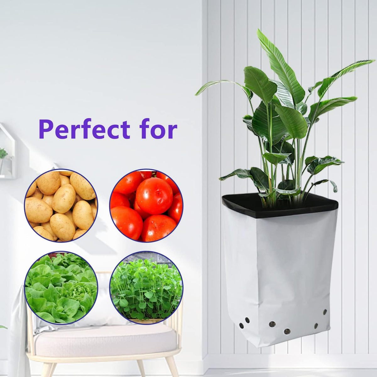 HFS(R Poly Grow Bag Planters Panda Film Black and White for Nursery Horticulture 5 Gallon - 25 PC