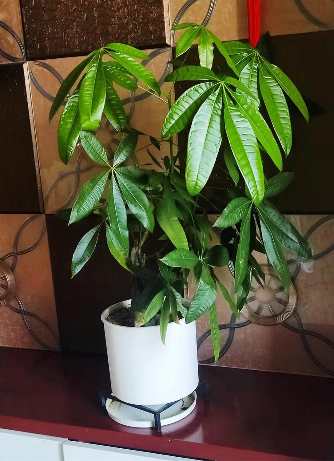 9.8" Metal Heavy Duty Potted Plant Stand Flower Pot Holder with Saucer Indoor Outdoor Rustproof