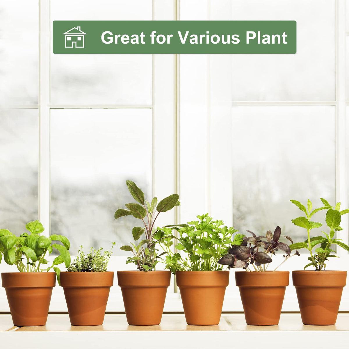 Orceler 4 Inch Terracotta Pots with Saucer - 6 Pack Small Clay Plant Pots with Drainage Holes