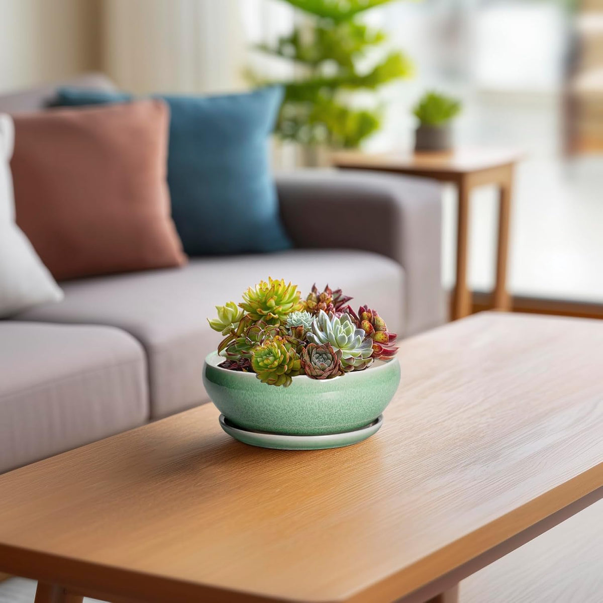 SQOWL Succulent Pots 6 Inch - Ceramic Bonsai Planter for Indoor Plants Outdoor, Shallow Planter