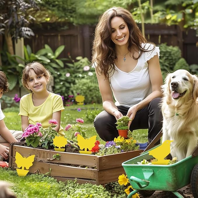 36 Pcs Classic Sticky Traps for Fungus Gnat (Plants), Fruit Fly, Whitefly, and Fly, Yellow Sticky