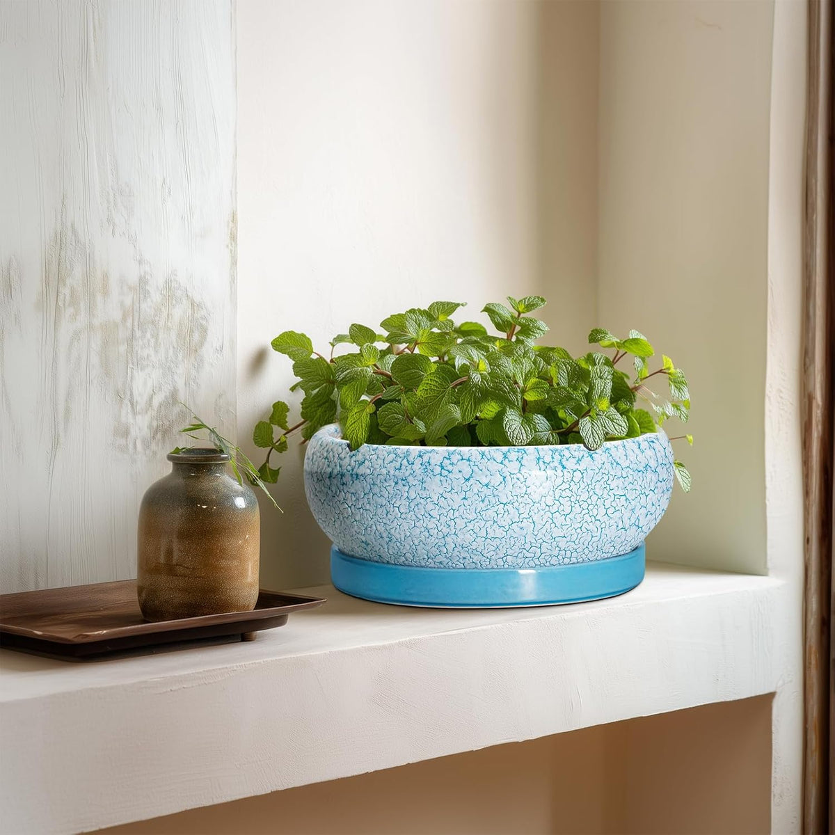 Succulent Pots 8 Inch - Ceramic Bonsai Pots with Drainage Hole and Saucer, Succulent Planters for