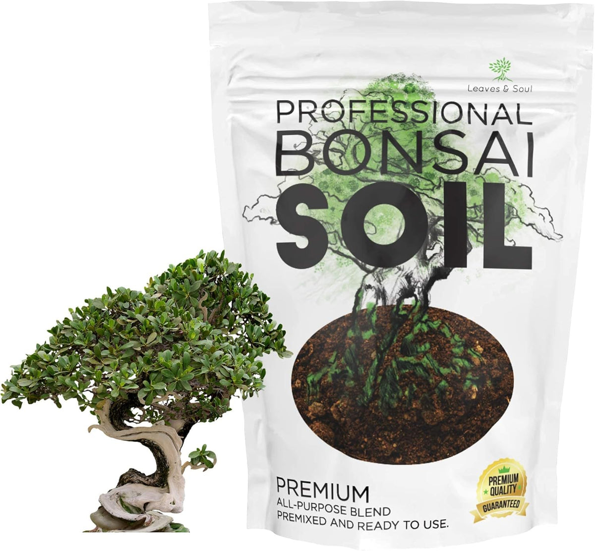 Leaves and Soul Complete Bonsai Set - Small Blue Rectangle Bonsai Pot | 160ft of Bonsai Hobby Wire