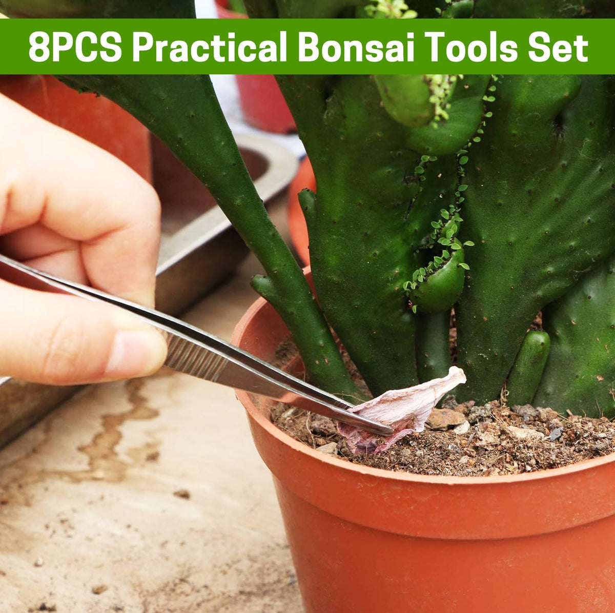 Bonsai Set 8 Pcs - Include Pruner,Fold Scissors,Mini Rake,Bud & Leaf Trimmer Set by ZELAR Made