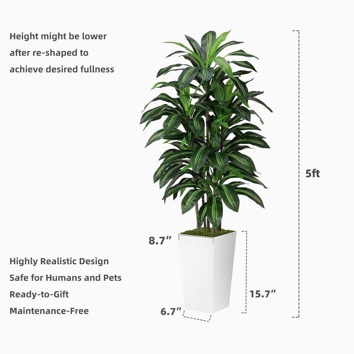 Artificial Dracaena Plant Indoor 5FT - Fake Tree with White Tall Planter - Faux Yucca Tall Fake