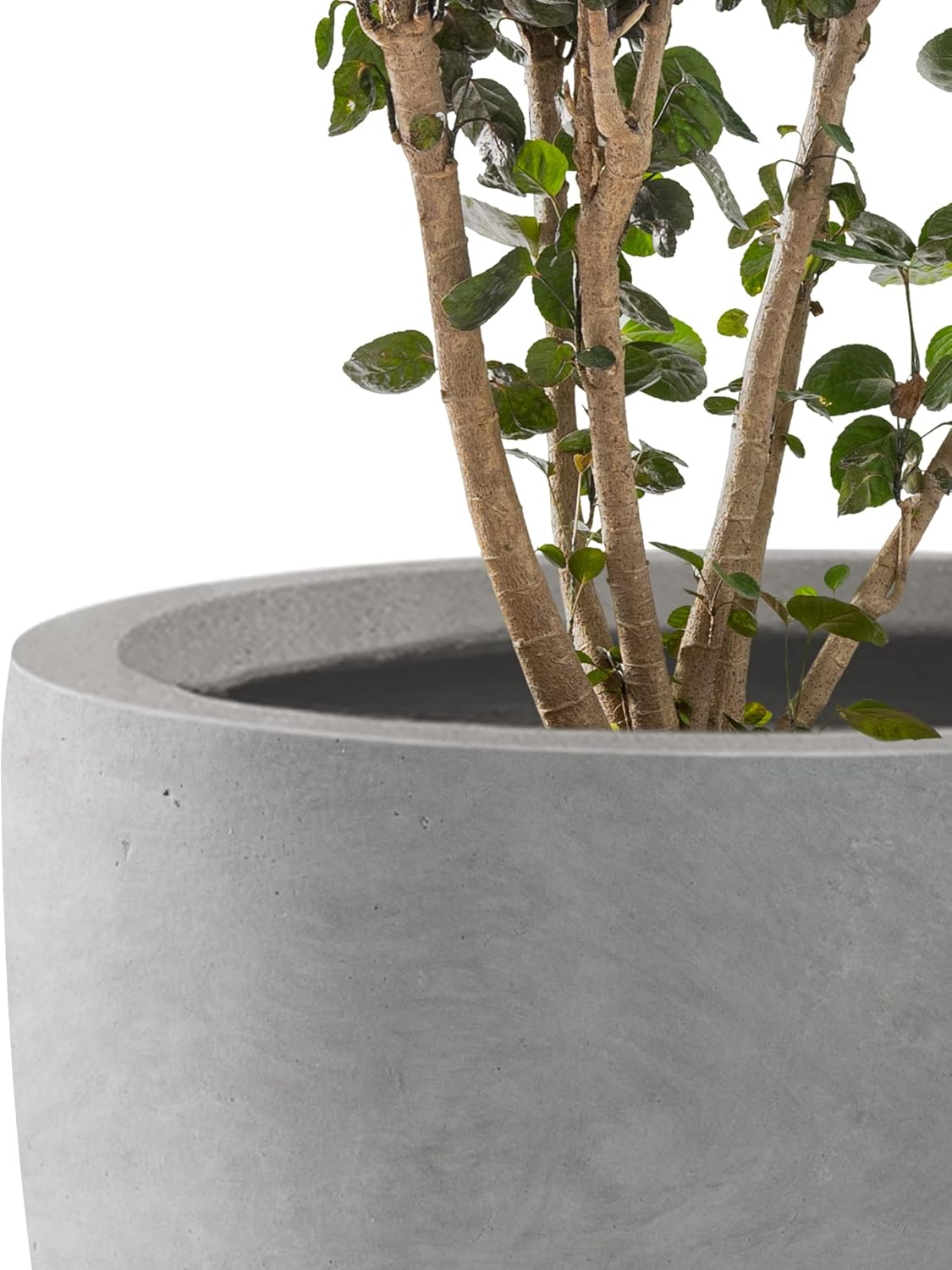 Kante 16.5" Dia Round Concrete Planter, Large Outdoor Modern Indoor Decorative Plant Pots with