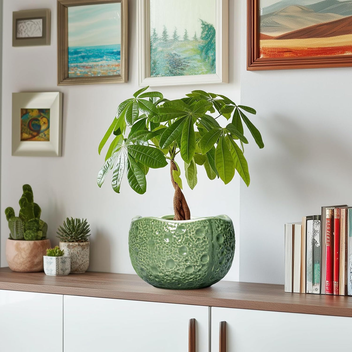 8 Inch Plant Pot - Ceramic Pots for Plants with Drainage Hole, Round Decorative Plant Pots for
