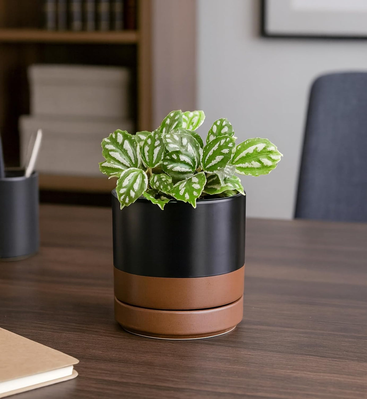 D'vine Dev 4.7 Inch & 6.5 Inch Ceramic Planter Pots for Plants with Drainage Hole and Saucer, Small