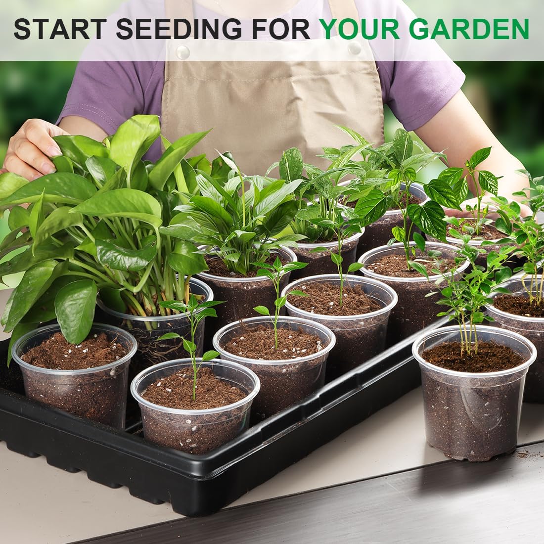 100 Pack 4 Inch Clear Plant pots with Drainage Holes, Transparent Nursery Seeding Pots, Flexile