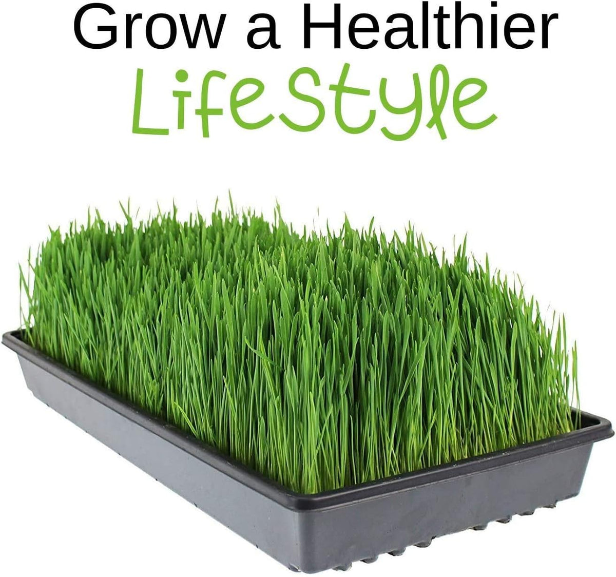 Micro-Mats Hydroponic Grow Pads - for Organic Production - 10 Pack - Plant & Seed Germination: