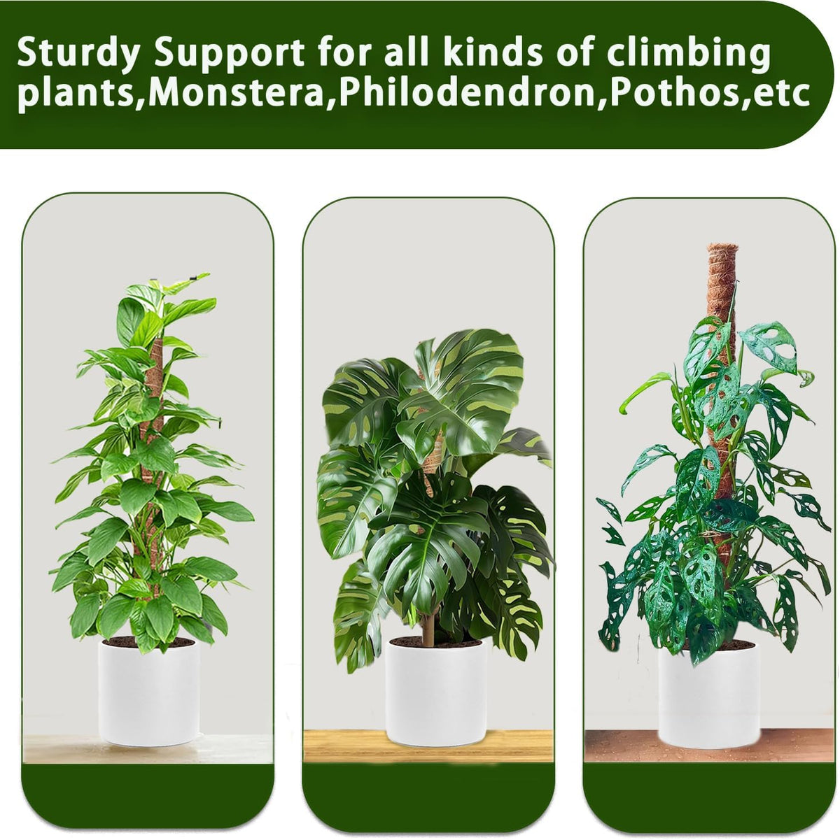 Moss Pole, 2 Pack 17 Inch Monstera Plant Support for Climbing Plants Accessories Indoor, Stackable
