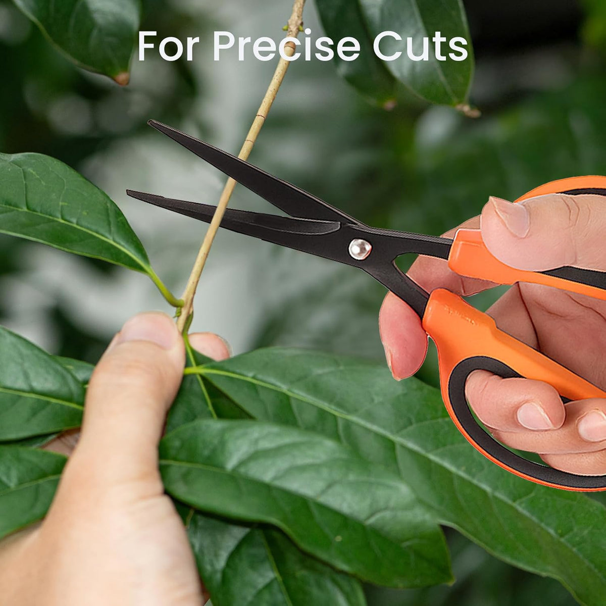 GROWNEER 1 Packs Trimming Scissors Teflon Coated Non Stick Blades Pruning Shears Gardening Hand