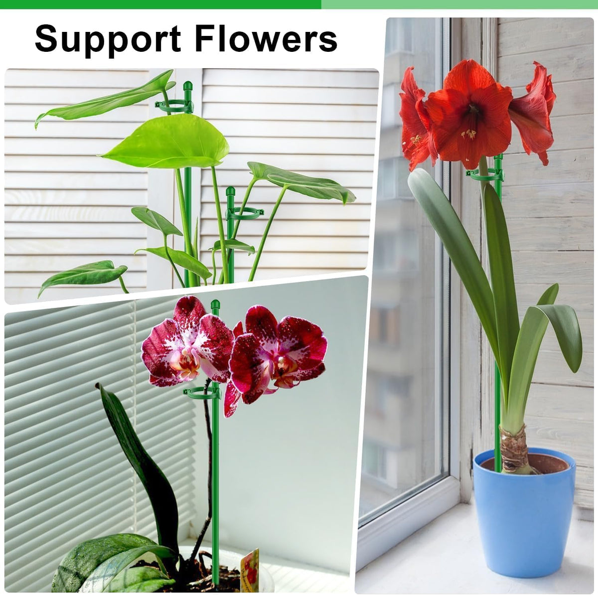 Plant Support Stakes for Indoor Plants SupKing Orchid Sticks with Clips 15 inch 10Pcs Garden Stake