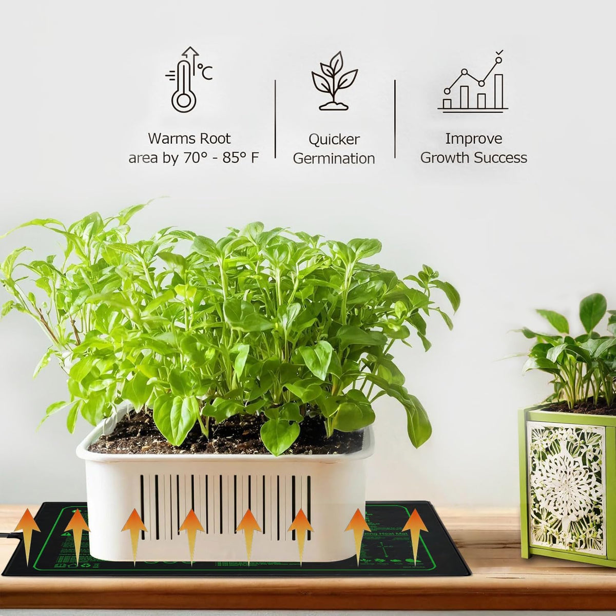 Upgrade 20" x 10" Durable Waterproof Seedling Heat Mat with ETL Certified, Warm Hydroponic Heating