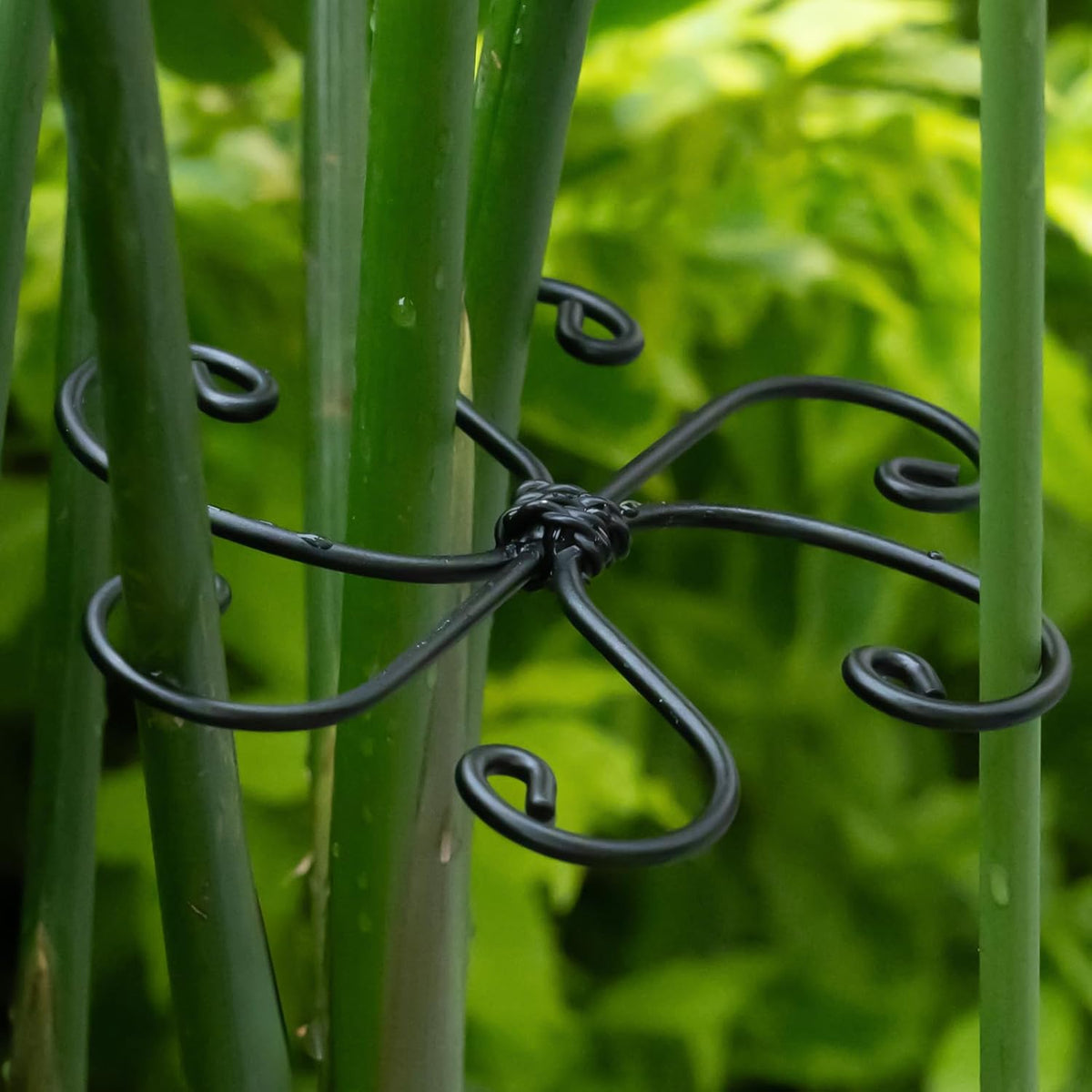 Monstera Plant Support Hook - 4.1x4.1IN 5PCS, Durable Adjustable Stem Support System, Gentle