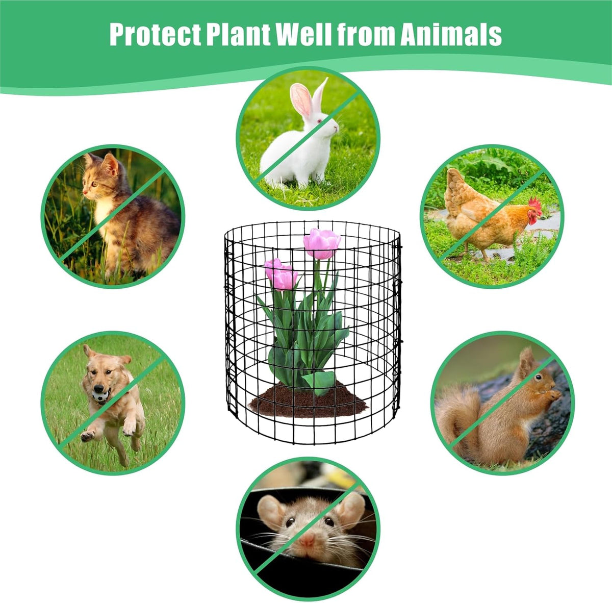 Eunika 18 Pcs Round Plant Protector from Animals, 6 Pack 12" x 12" Metal Mesh to Keep Animals Out