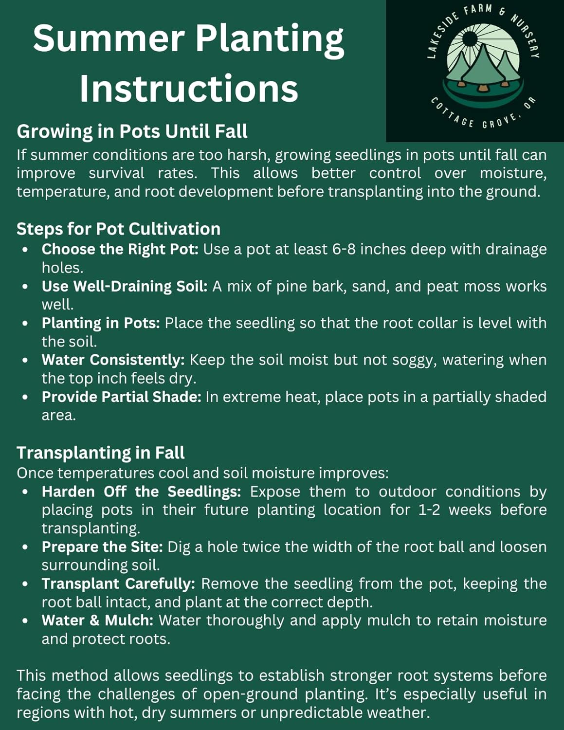 5 Live Giant Sequoia Tree Sapling (Approx. 1'-1.5' Tall)- Nature’s Giant in Your Backyard