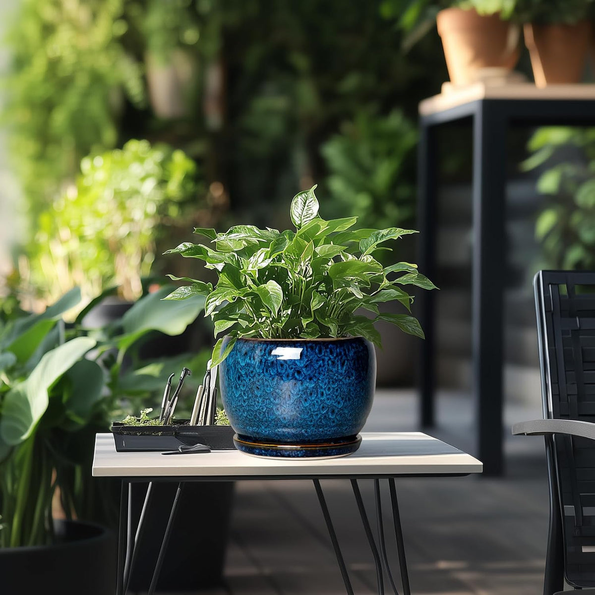 SQOWL Ceramic Planter 8 Inch - Pot for Indoor Outdoor Plants Round Ceramic Plant Pot with Drainage