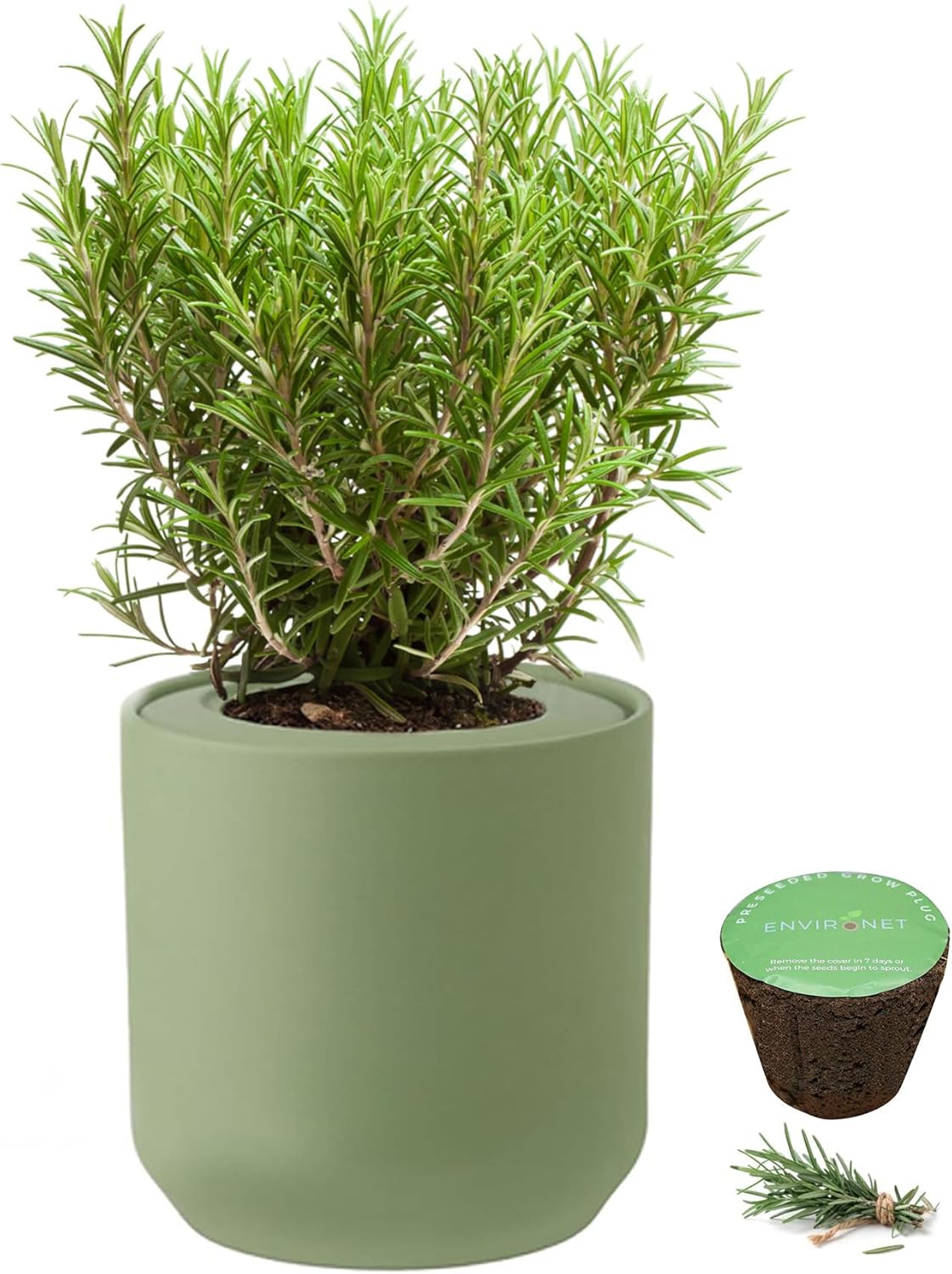 Hydroponic Herb Growing Kit, Self-Watering Kitchen Herb Garden Starter Kit with Green Ceramic Pot