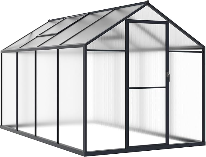 BlueWish 6x8FT Greenhouse, Walk-in Green House with Adjustable Vents, Rivet Structure, Greenhouses
