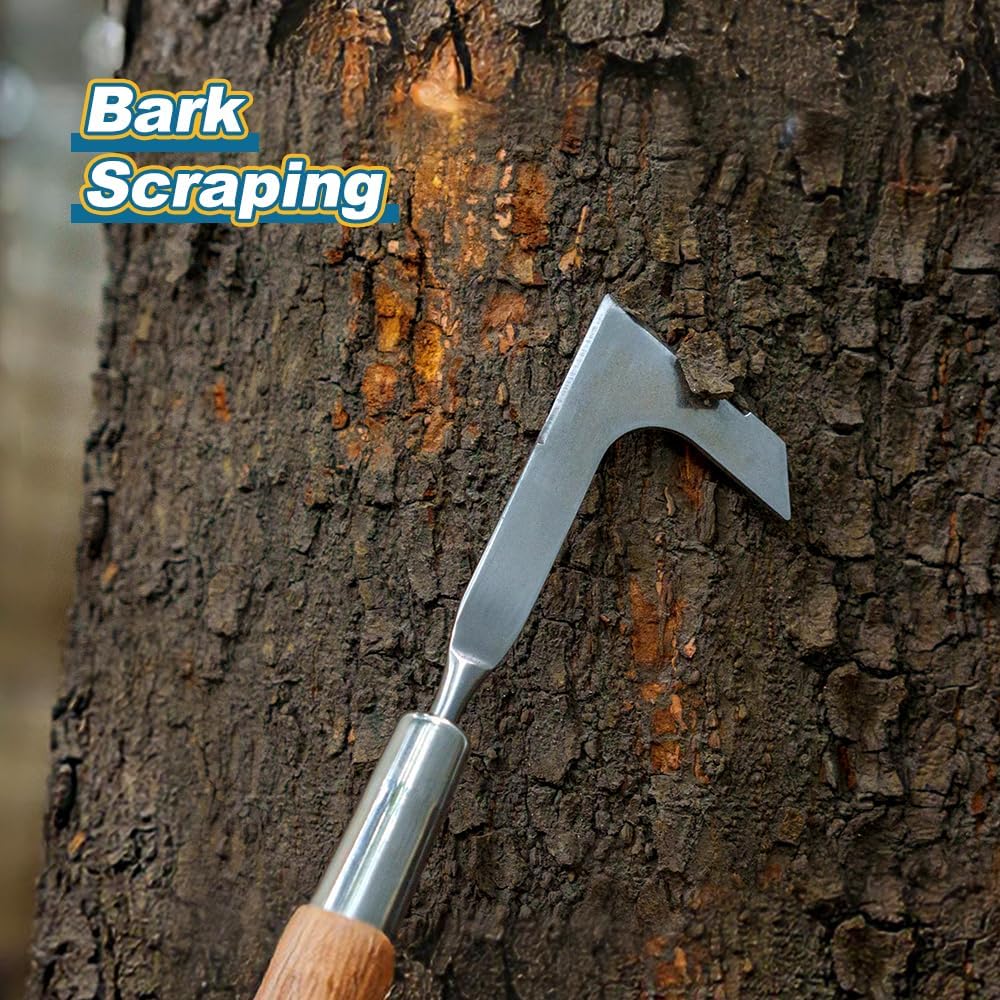 Berry&Bird 15.2'' Crack Weeder Crevice Weeding Tool with Ashwood Handle, Manual Weed Puller for