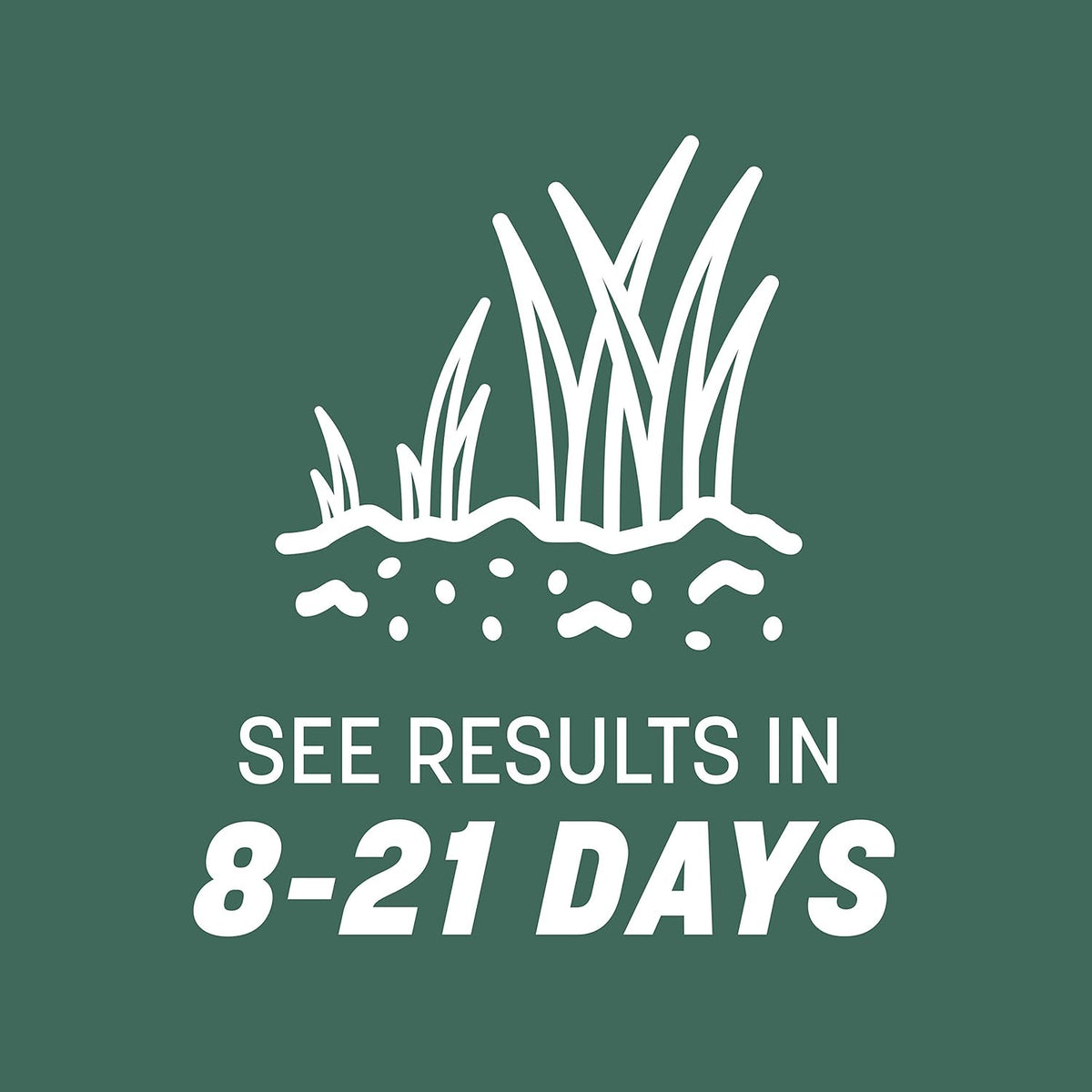 Pennington Kentucky 31 Tall Fescue Penkoted Grass Seed 7 lb