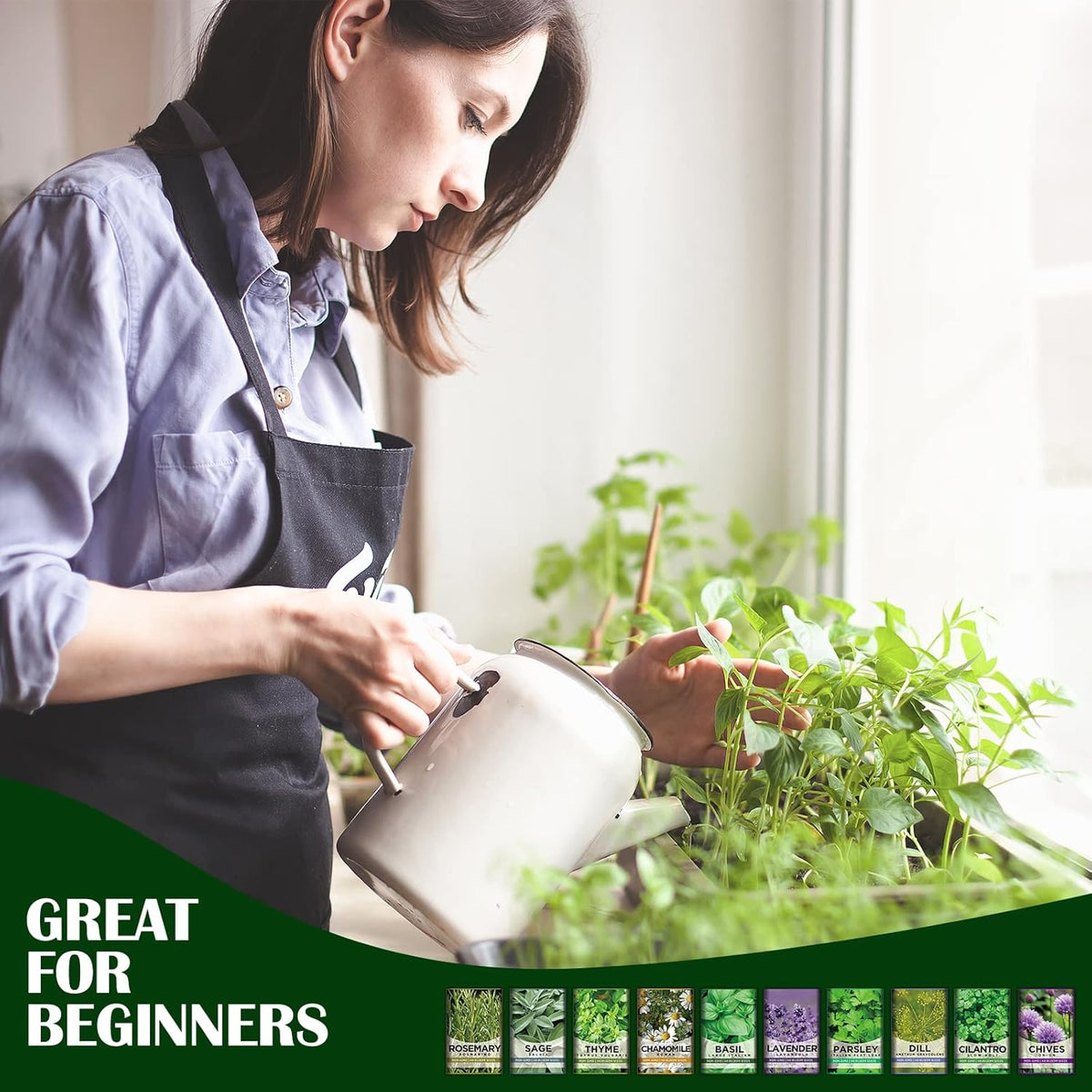 10 Kit Non-GMO Growing into Thyme, Lavender, Chamomile, Dill, Chives, Cilantro, Rosemary, Basil